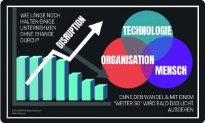 Disruption - Digitale Transformation - ROCK YOUR DIGITAL BUSINESS - Buch Maike Petersen